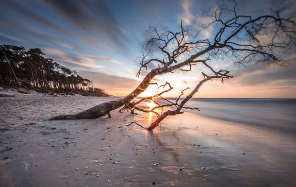 winterlicher Ostseestrand