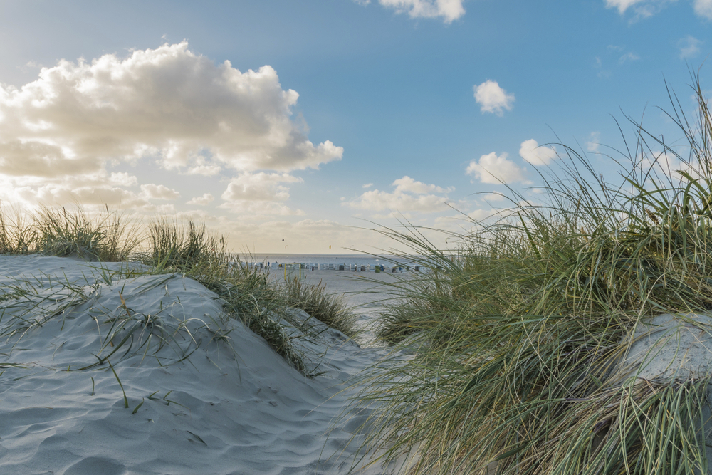 Dünen von Usedom