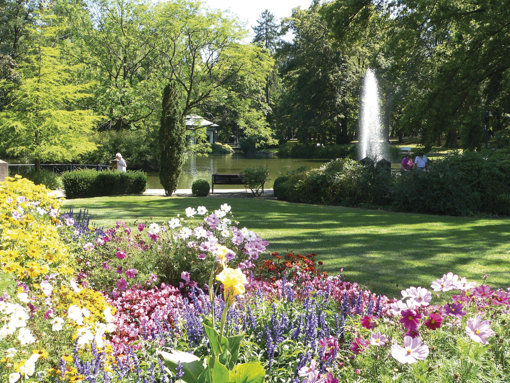 Kurpark in Bad Wildungen mit Blumen
