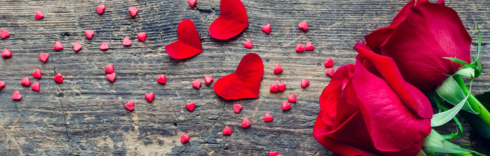 Header_Valentinstag_1562x500_Sep2022